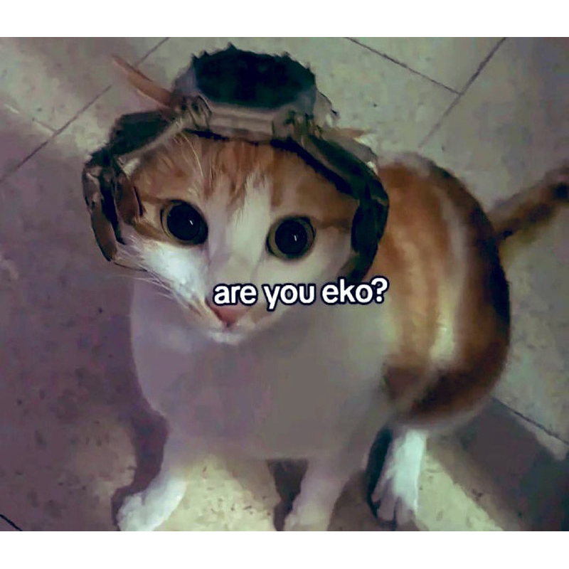 

ALL PRODUCT BY REQUESTED