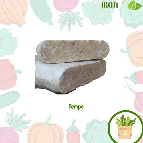 

Tempe/Tempe Kedelai Fresh (1 pcs) /Tempe Malang Kecil