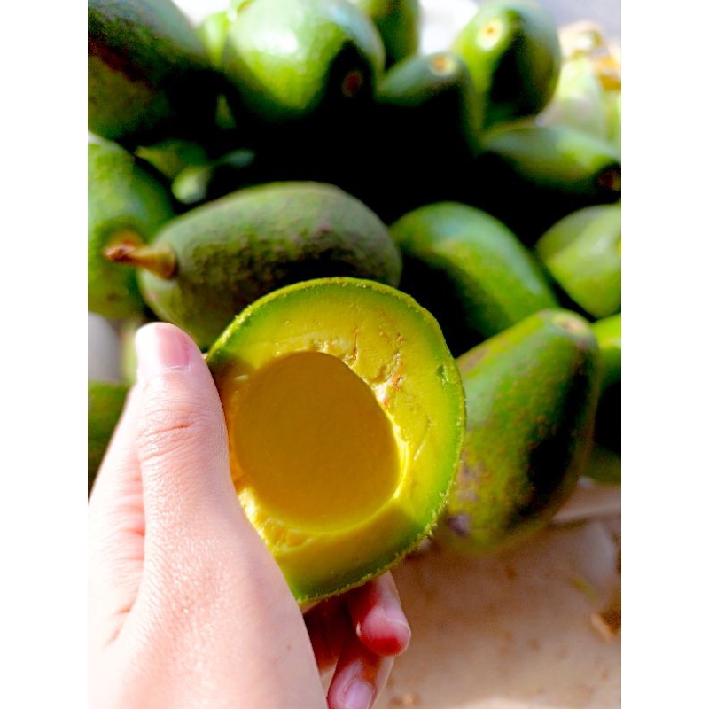 

Alpukat mentega (isi 6-7)