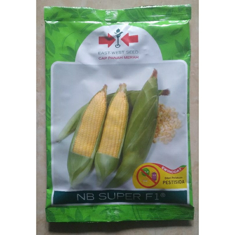 

NB SUPER F1 @1.750 butir exp:23.06.25