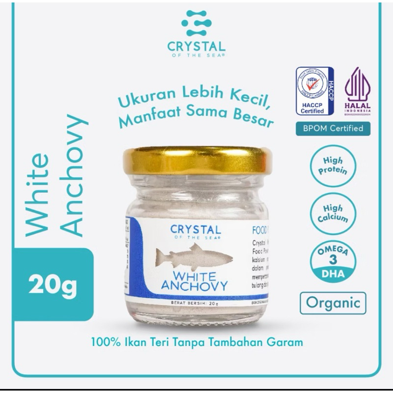 Crystal Of The Sea White Anchovy