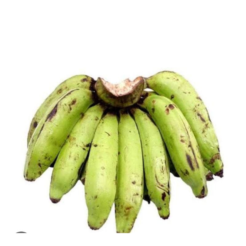 

Pisang nangka siap diolah per 1kg