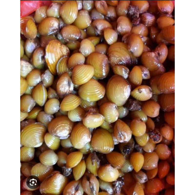 

REMIS HIDUP 500g OBAT PENYAKIT KUNING/LIPER/OBAT HERBAL