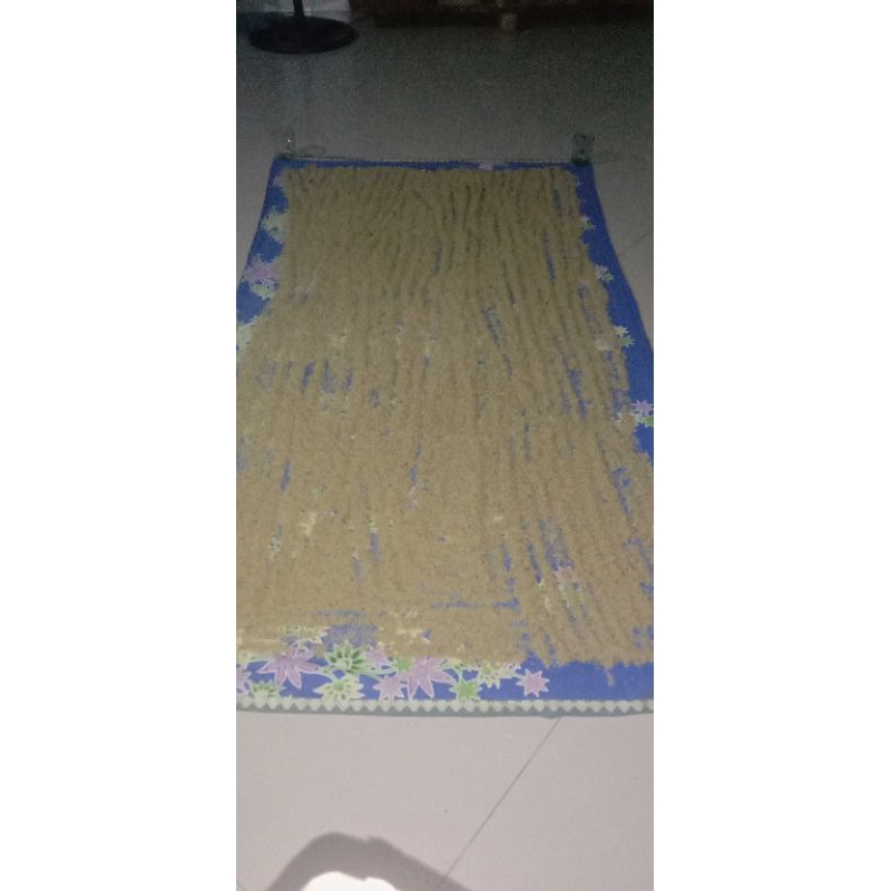 

telur_jangkrik_madu