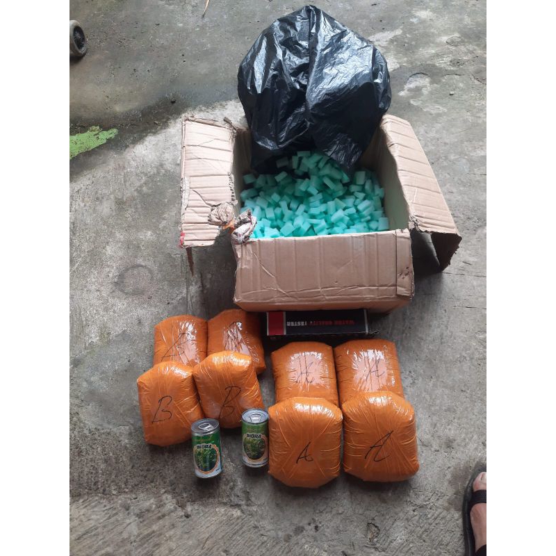 Lengkap Budidaya Seledri Paket Lengkap Budidaya Seledri Hidroponik untuk Pemula Seledri Hidroponik B