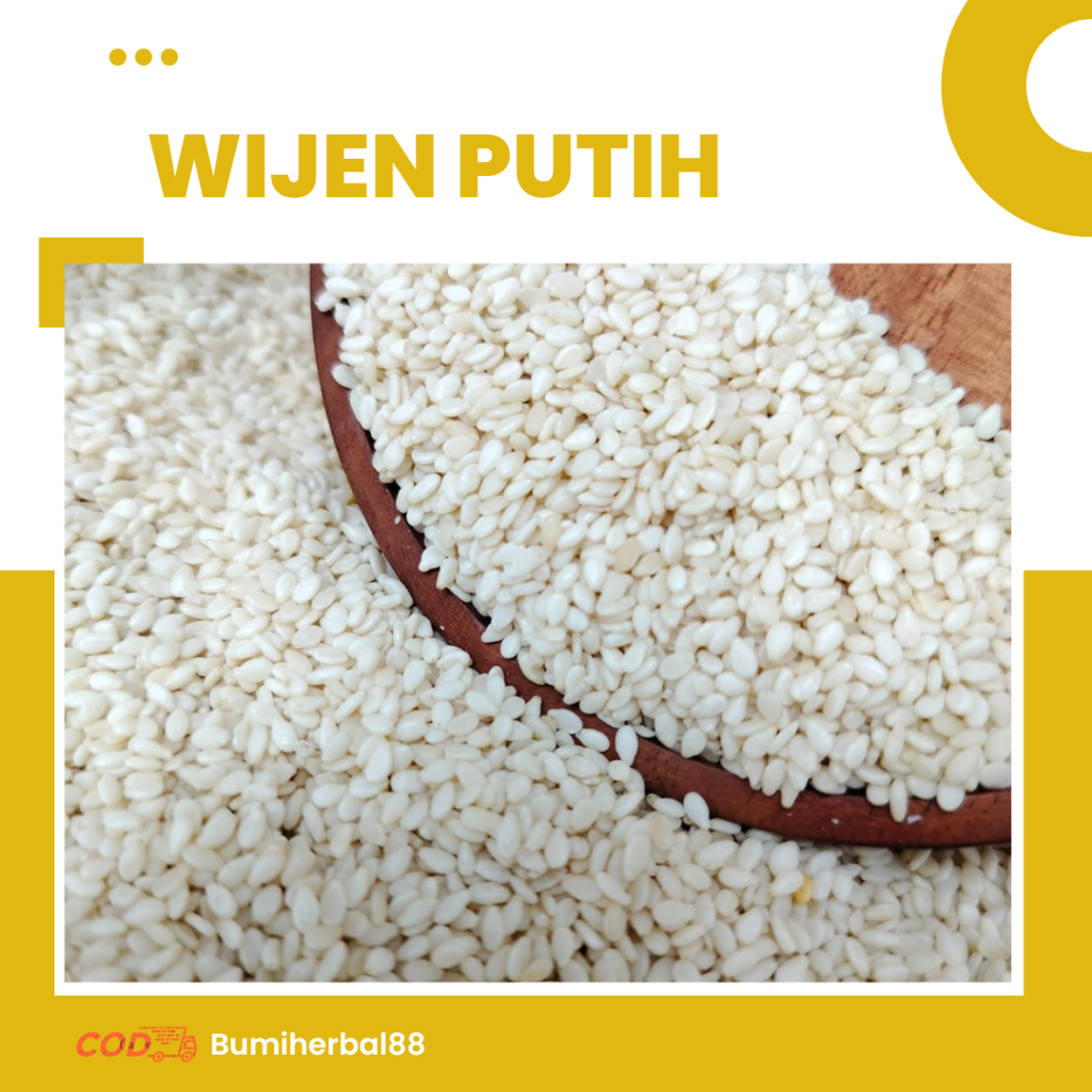 

Biji Wijen Putih White Sesame Seed Alami Grade A