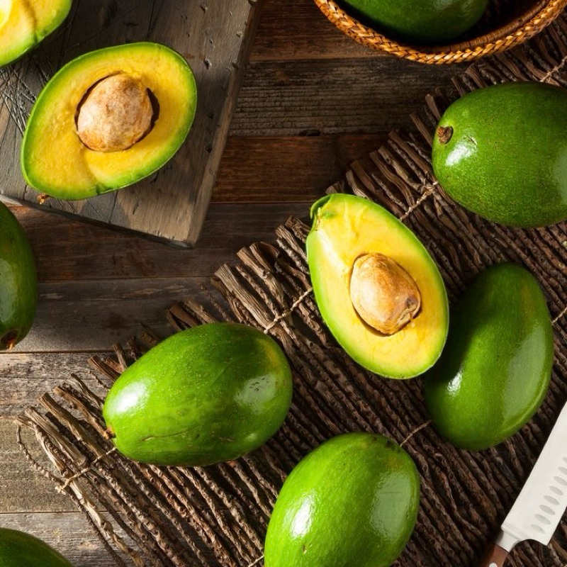 

ALPUKAT | ALPUKAT MENTEGA | GARANSI 100% ISI 3/4