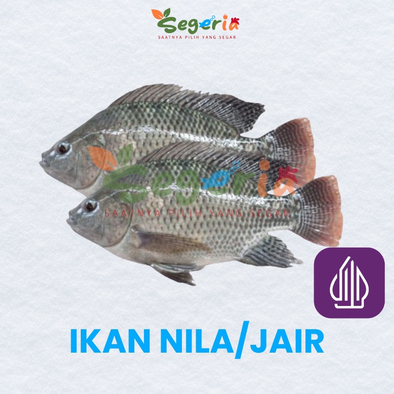

IKAN NILA / JAIR / MUJAIR FRESH/FROZEN