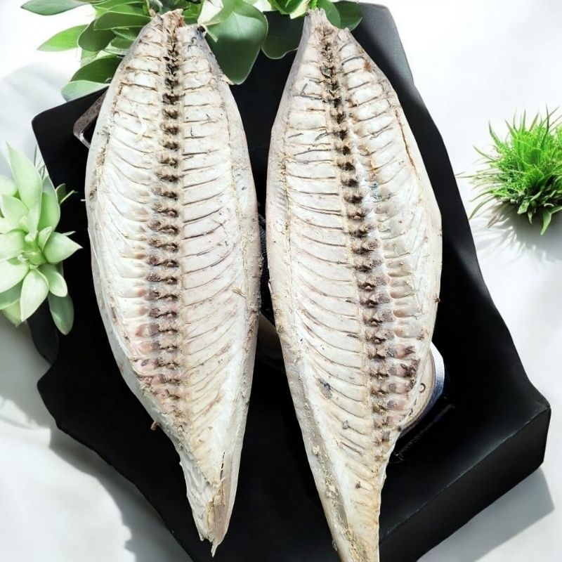 

tongkol Cakalang iris