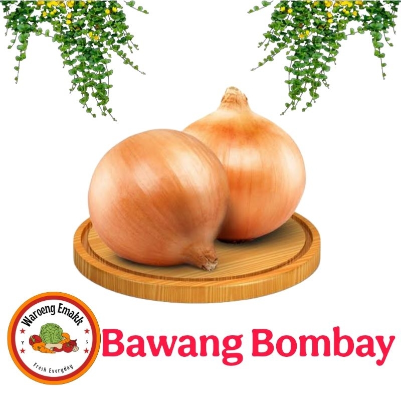 

BAWANG BOMBAY 1 Pcs