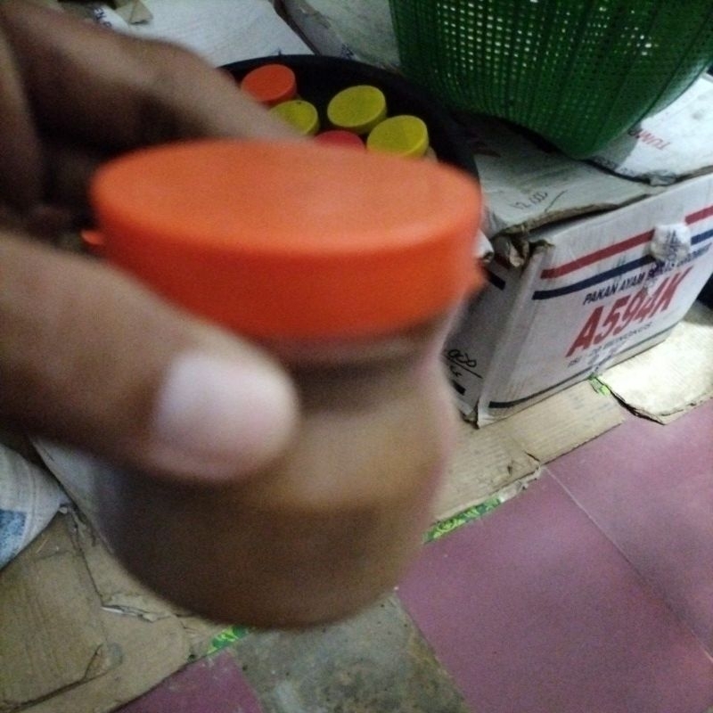 

Petis Madura kecil