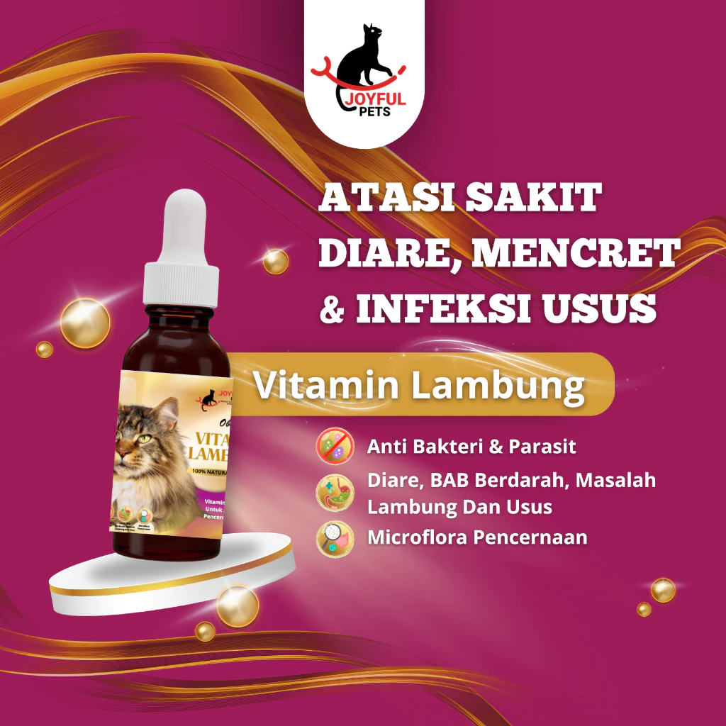 Obat Tetes Kucing Masalah Pencernaan, Lambung, Diare, dan Infeksi Usus
