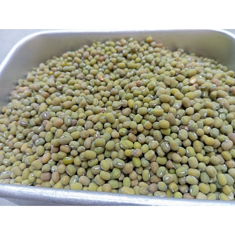 

KACANG HIJAU KUALITAS SUPER 250 GRAM