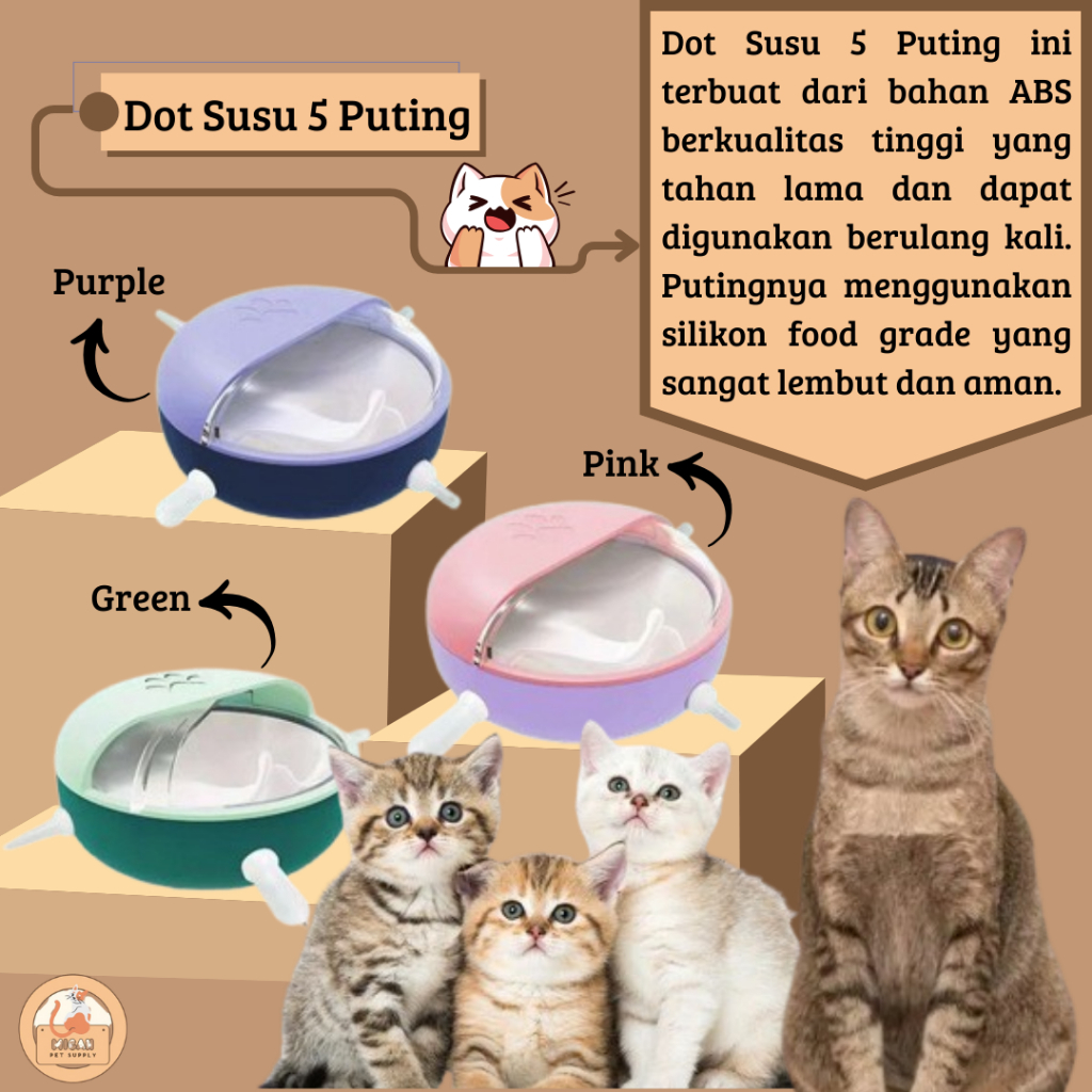 Dot anak kucing dot anak kucing baru lahir bottle susu dot anak anjing dot bayi anjing