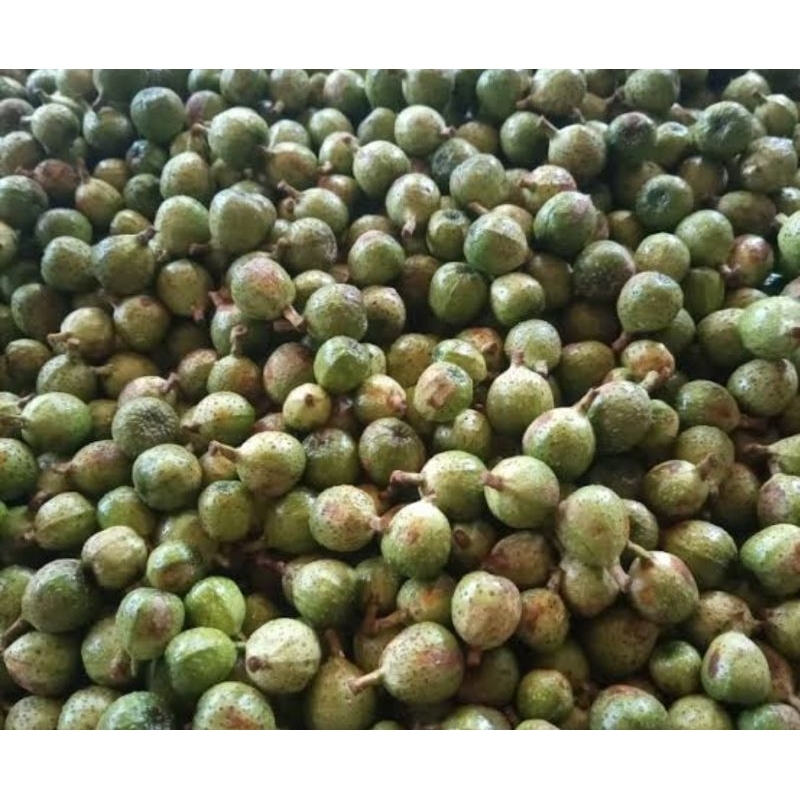 

Paket 1 kg buah Awar Awar segar fresh