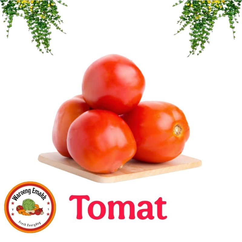 

TOMAT MERAH SEGAR