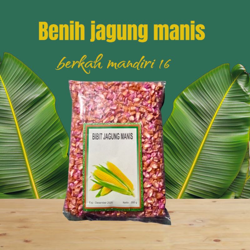 Benih Bibit jagung manis madu 350gram