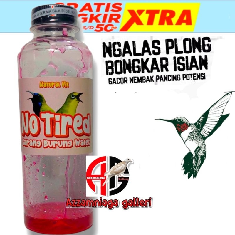 NO TIRED  METABOLISME  BURUNG PLECI