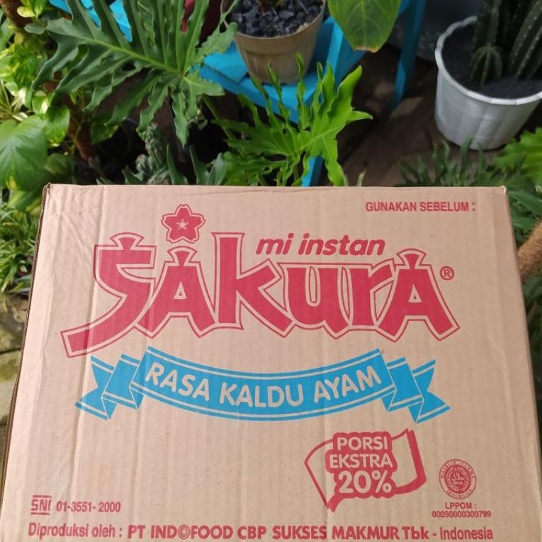 

SAKURA KUAH 1 DUS ISI 40PCS
