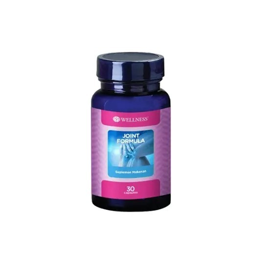 WELLNESS JOINT FORMULA CAP@30
