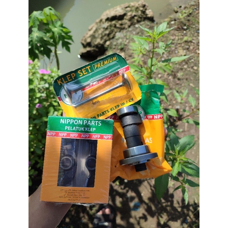 noken+temlar tiger NPP