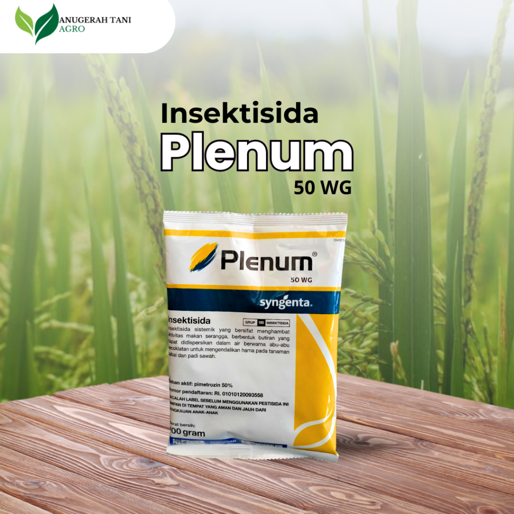 Insektisida PLENUM 50 WG Mengatasi Hama Wereng pada Tanaman Padi