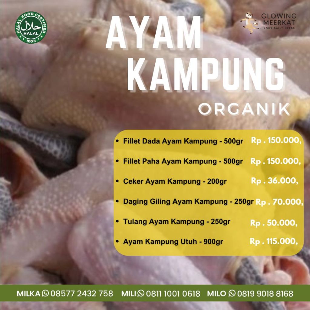 

Ayam Kampung Organik