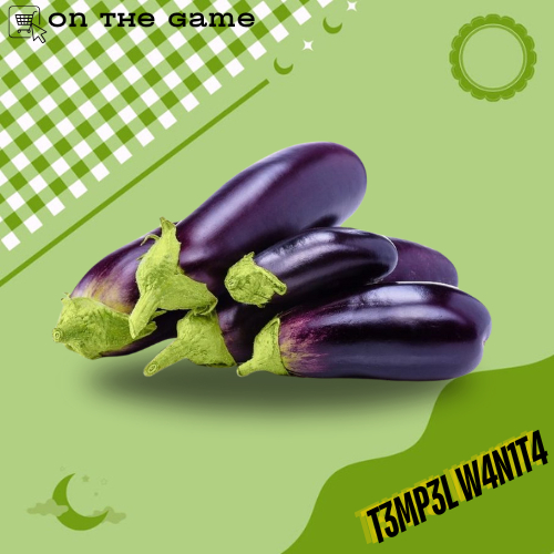 

Sayur Segar Realistic Terong Ungu 250gram