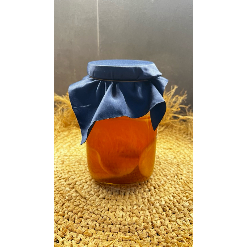 

Starter kombucha strong matang usia tua (tanpa SCOBY)