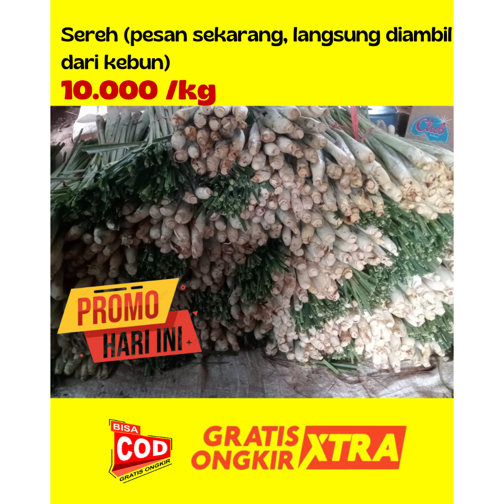 

Serai Sereh Wangi Segar 1 kg / Serei Fresh / Sere Langsung dari Petani