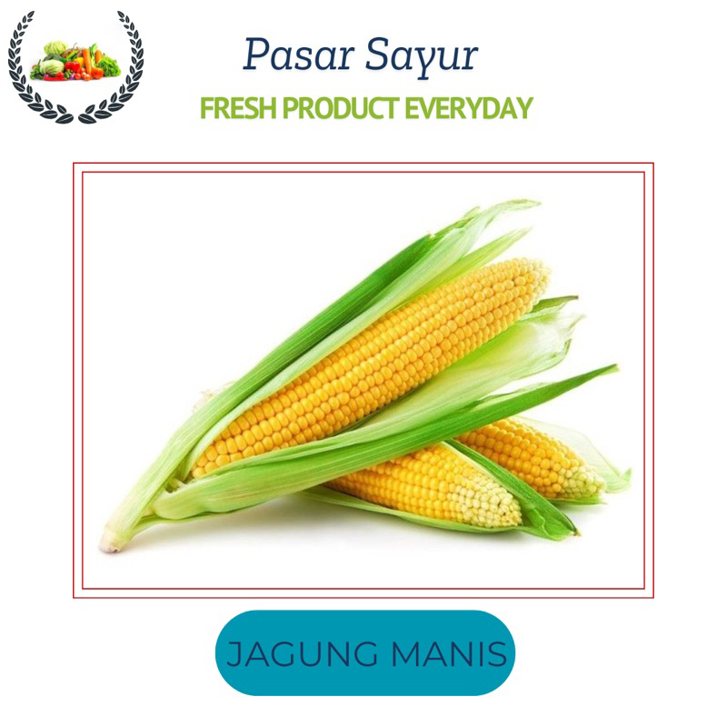 

Jagung Manis Isi 2