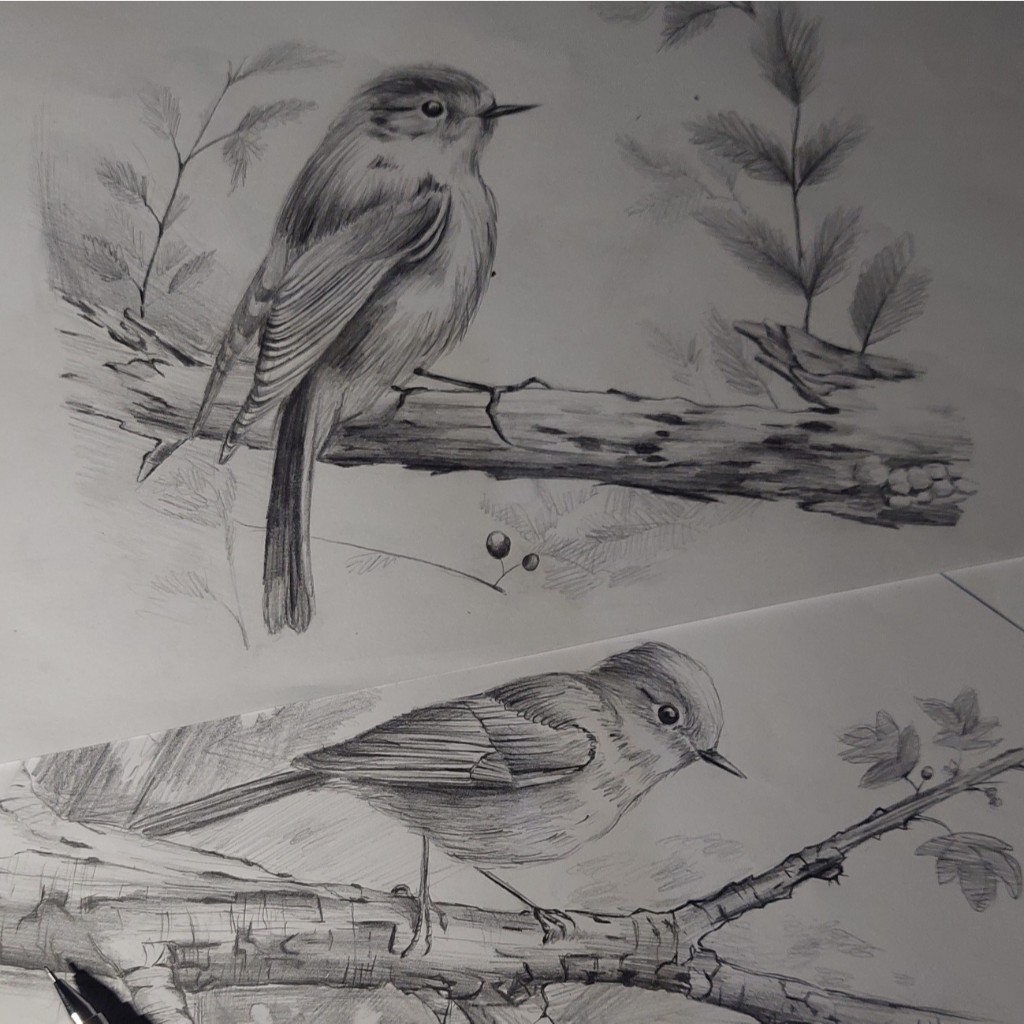 

JOKI JASA GAMBAR PENSIL ARSIR SKETSA/ CUSTOM A3