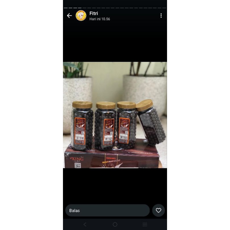 

bonibol king viral dan terlaris