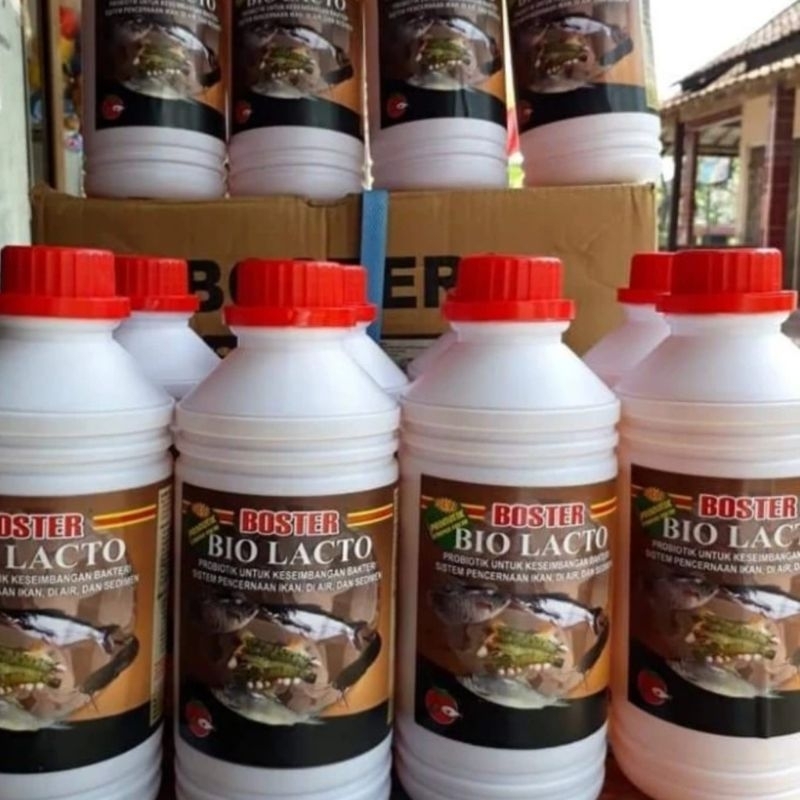 Biolacto 1 liter untuk kesehatan pencernaan dan imunitas ikan
