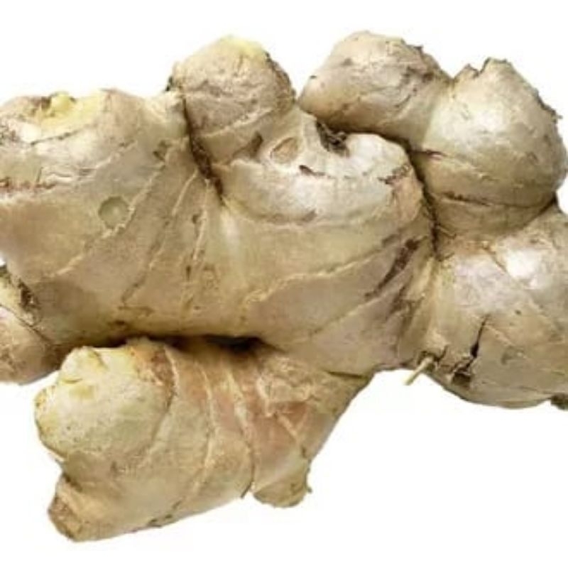 

Jahe gajah/putih 500 gram