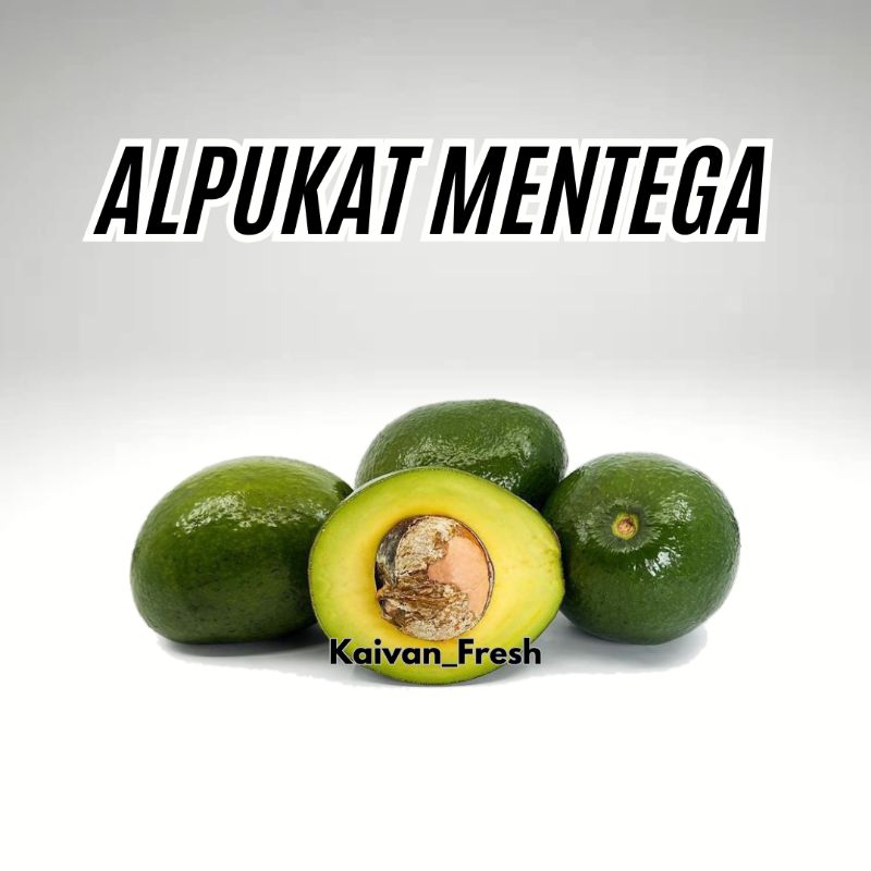 

Alpukat Mentega Premium