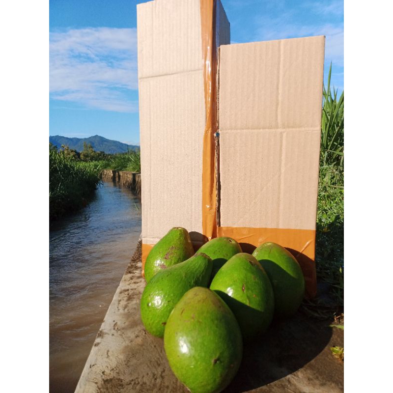 

Paket hemat 2kg isi 6-7 buah