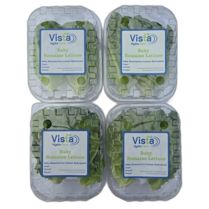 

Selada Baby Cos Romaine Lettuce 1Kg hidroponik