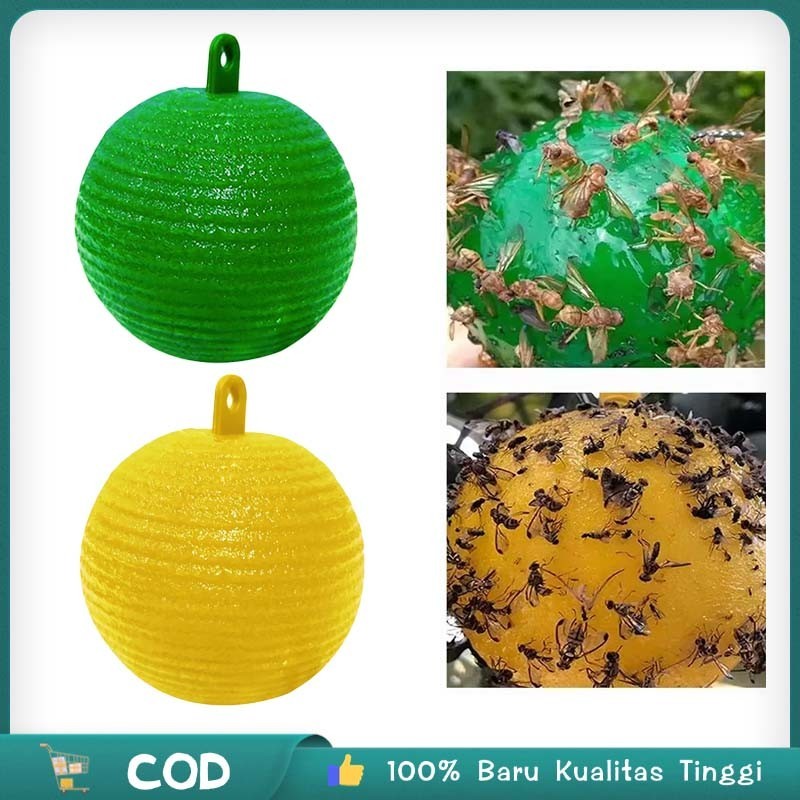 Alat Perangkap Lalat Buah Lalat Buah Perangkap Penangkap Lalat Buah Perangkap Hama Tanaman