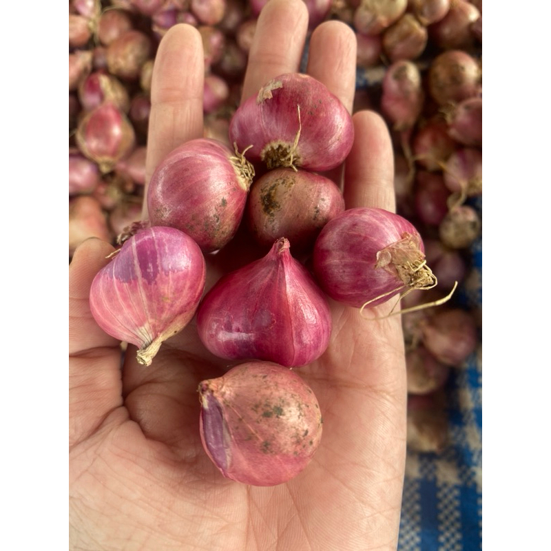 

SUPER 1kg BAMER LOKAL