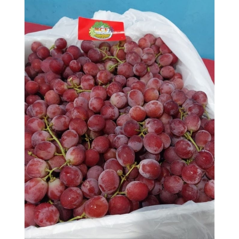 

ANGGUR RED AUSTRALIA MANIS 1 KG