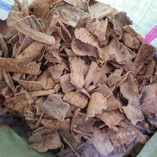 

Kayu Pule / Alstonia Scholaris Bark