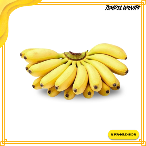 PISANG RAJA SUPER BUAH PISANG