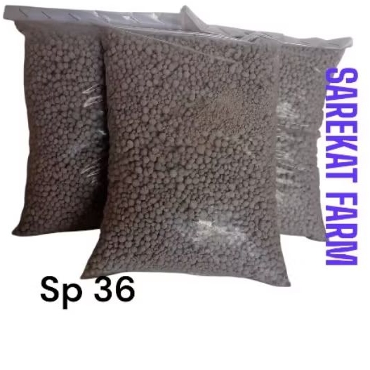 PUPUK TSP/ SP 36 REPACK NON SUBSIDI
