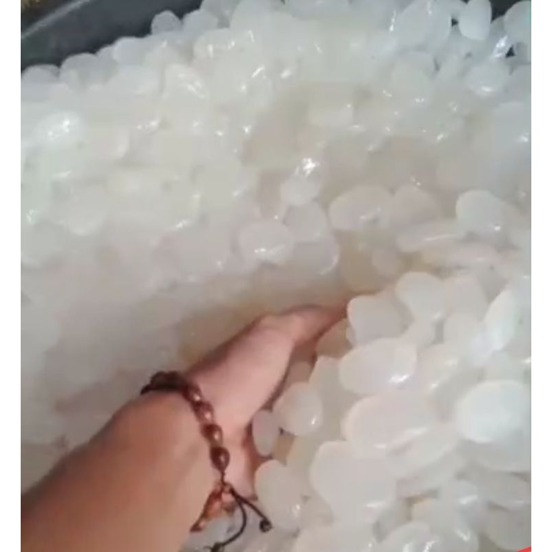

Kolang Kaling 1 KG 13.000