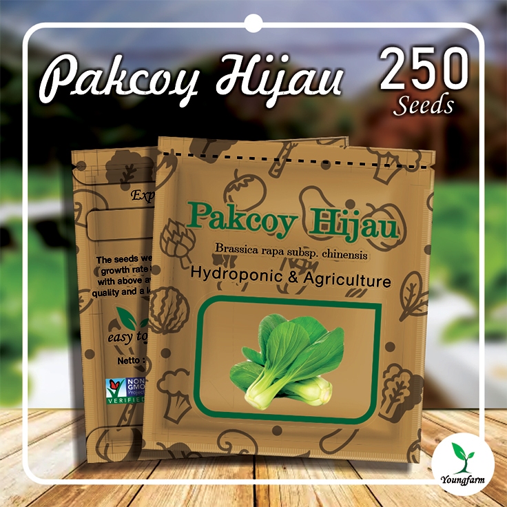 

Benih Pakcoy Hijau / Sawi Daging 250 Seeds / Repack