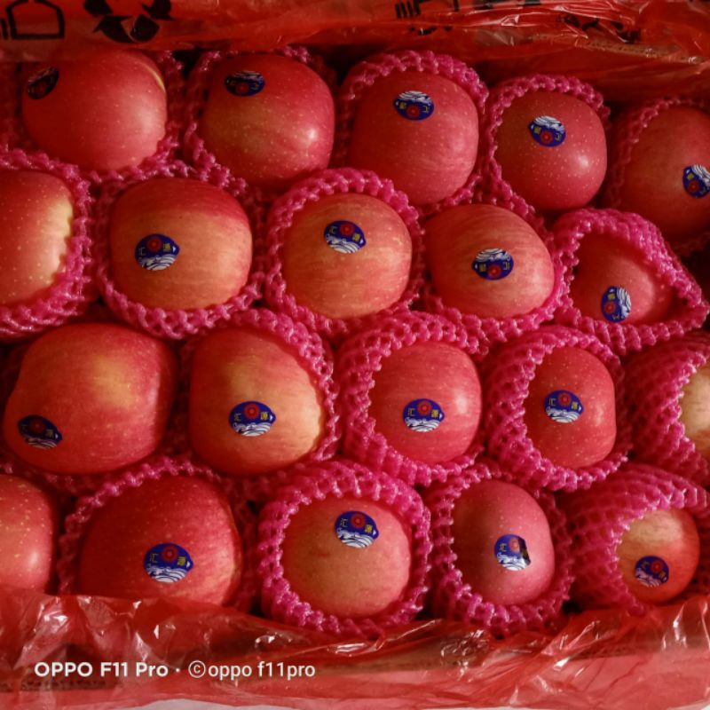 

Apel Fuji lantu per kilo