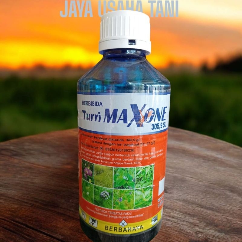 TurriMaxone 305,9 SL herbisida kontak, racun rumput