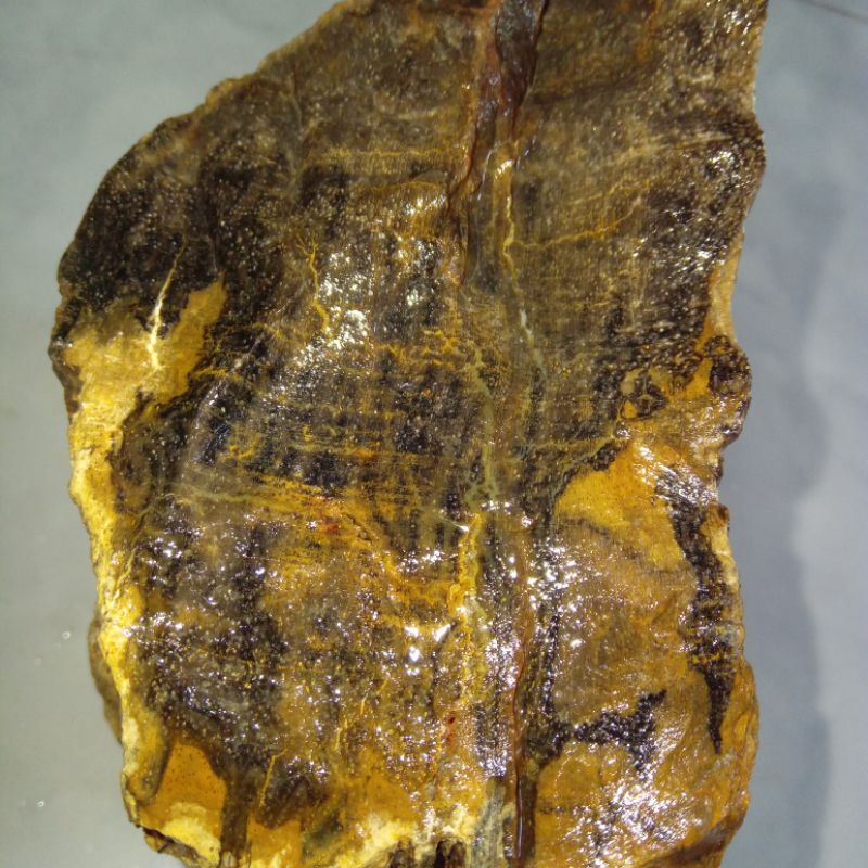 Natural Batu Motif Bulu Macan Sumatera Unik & Langka