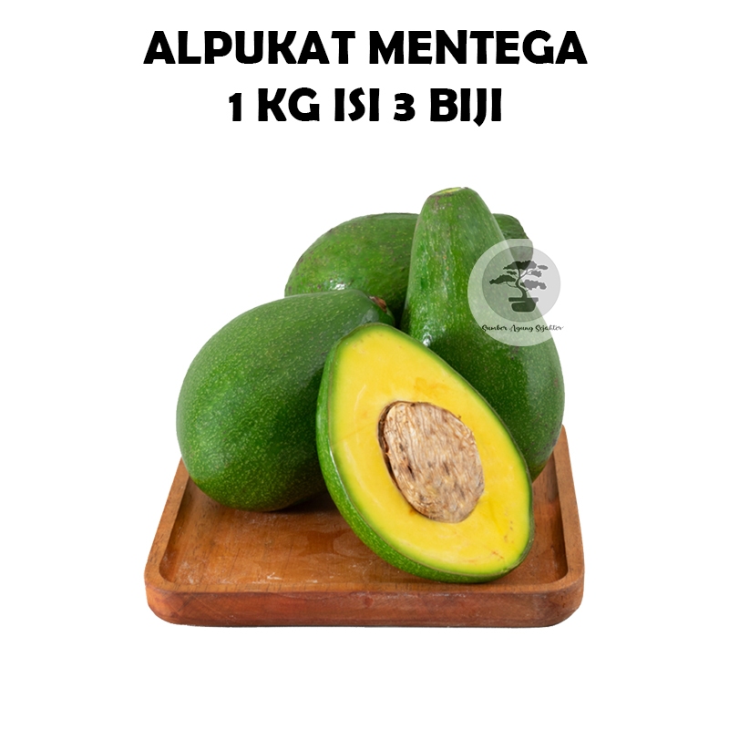 

(1Kg) Alpukat Mentega isi 3 (mentah)